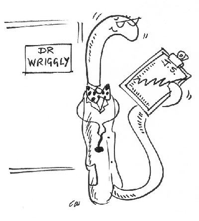 Dr Wriggly cartoon