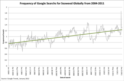 Seaweed google trends