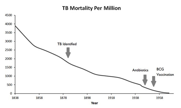 TB graph