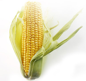 Corn