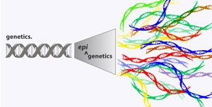 epigenetics