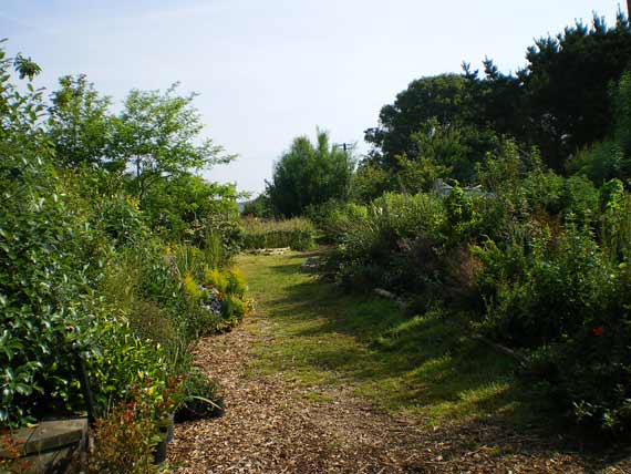 Education garden walkway