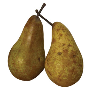 pears