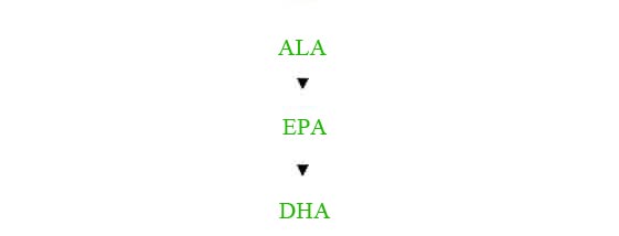 Phospholipids 3