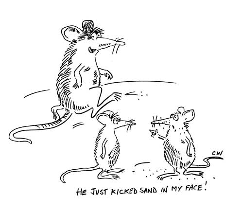 Cartoon - rats