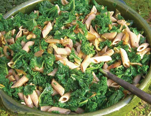 Pasta with curly kale