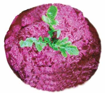 beetroot dip