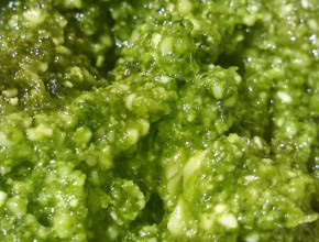 easy pesto