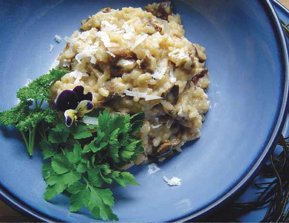 Risotto